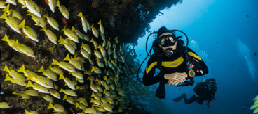 scuba Diving in Goa